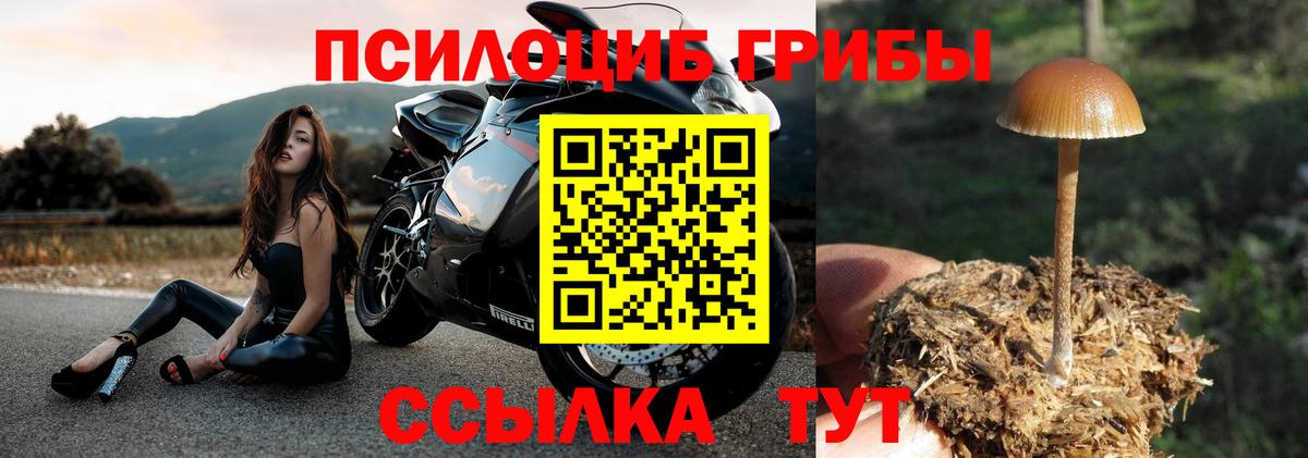 Псилоцибиновые грибы ЛСД  Вход с VPN  Урус-Мартан  Галлюциногенные грибы ЛСД 