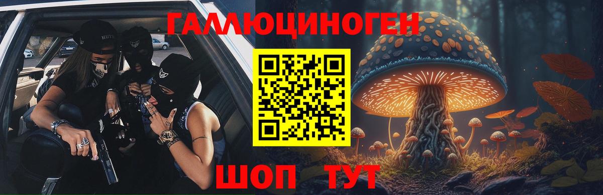 Псилоцибиновые грибы прущие грибы Урус-Мартан