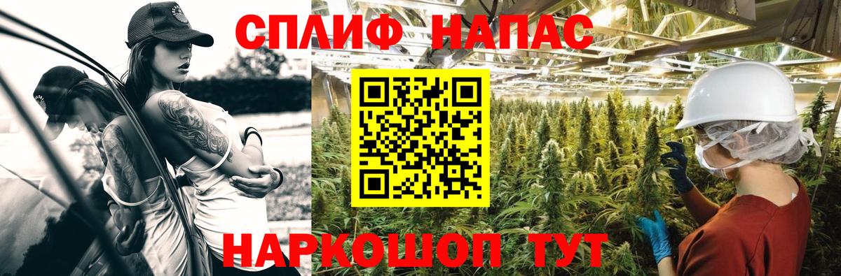 Конопля VHQ  Вход с VPN  Урус-Мартан  Конопля Bruce Banner  Канабис AK-47  Марихуана марихуана 